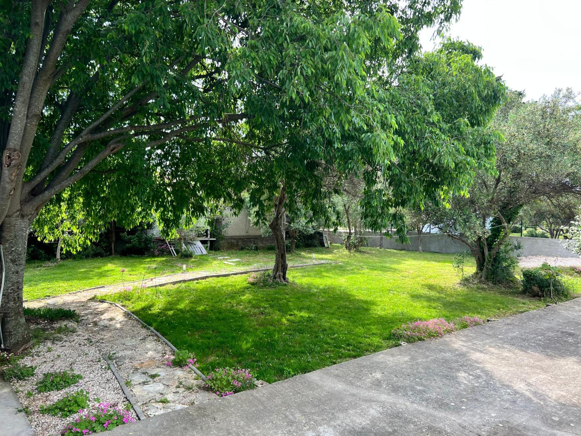 Apartments Mia بيبينيا المظهر الخارجي الصورة